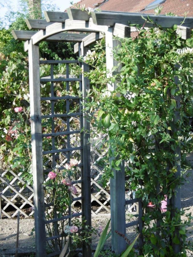 Le Chat Qui Peche B&B Châteauneuf-la-Forêt Exterior foto